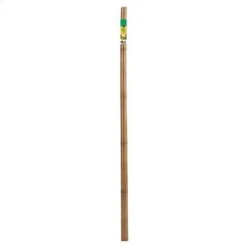 Miracle-Gro 5' Bamboo Stake-4/Pack