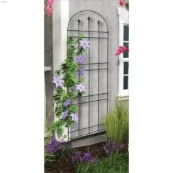 72" X 20" X 1" Powder Coated Black Arch Finial Trellis