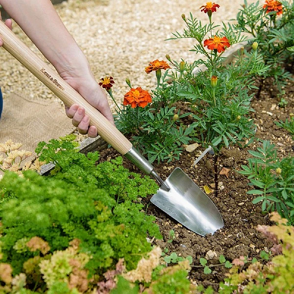 Kent & Stowe Stainless Steel Border Hand Trowel - Image 2