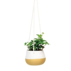 5" White And Natural Cylinder Pot