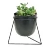 Bullet Planter In Triangle Stand 5.5"