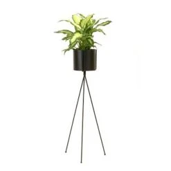 6 X 30 Metal Pot With Stand