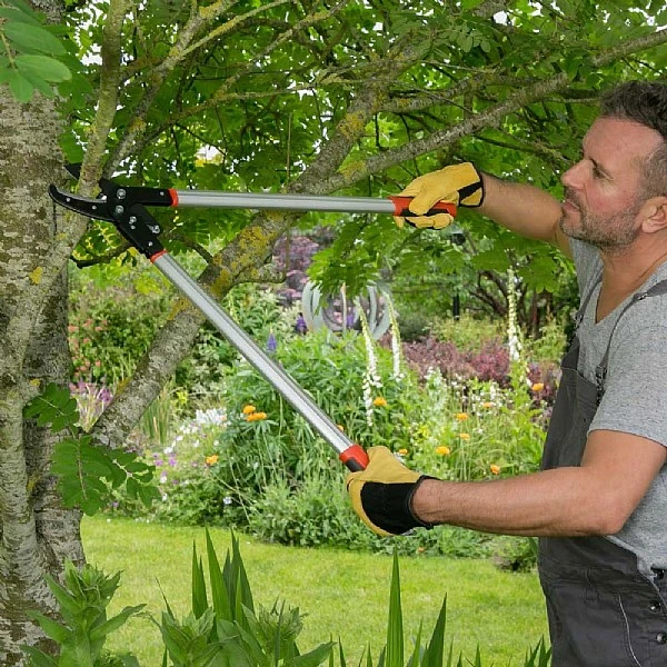 Wilkinson Sword Rachet Anvil Loppers - Image 2