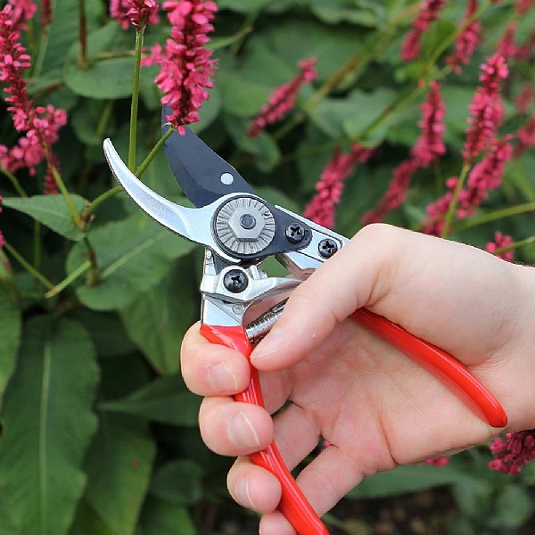 Darlac Small Bypass Pruner - Image 3