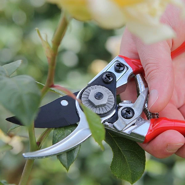Darlac Small Bypass Pruner - Image 4