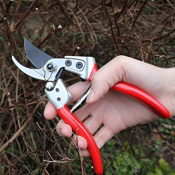 Darlac Expert Medium Bypass Pruner - Image 4