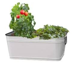 Mini Rectangular Planter/Beverage Tub-White
