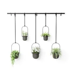 Umbra Triflora 5 Black Hanging Planter