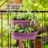 Elho Corsica Large Vertical Forest Planters - Set Of 2 (Various Colours)